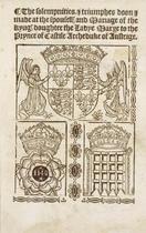 Coat of arms emblem and portcullis