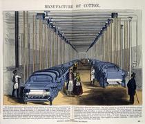 Manufacture of Cotton