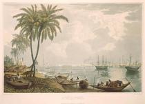 A view of Calcutta from a point