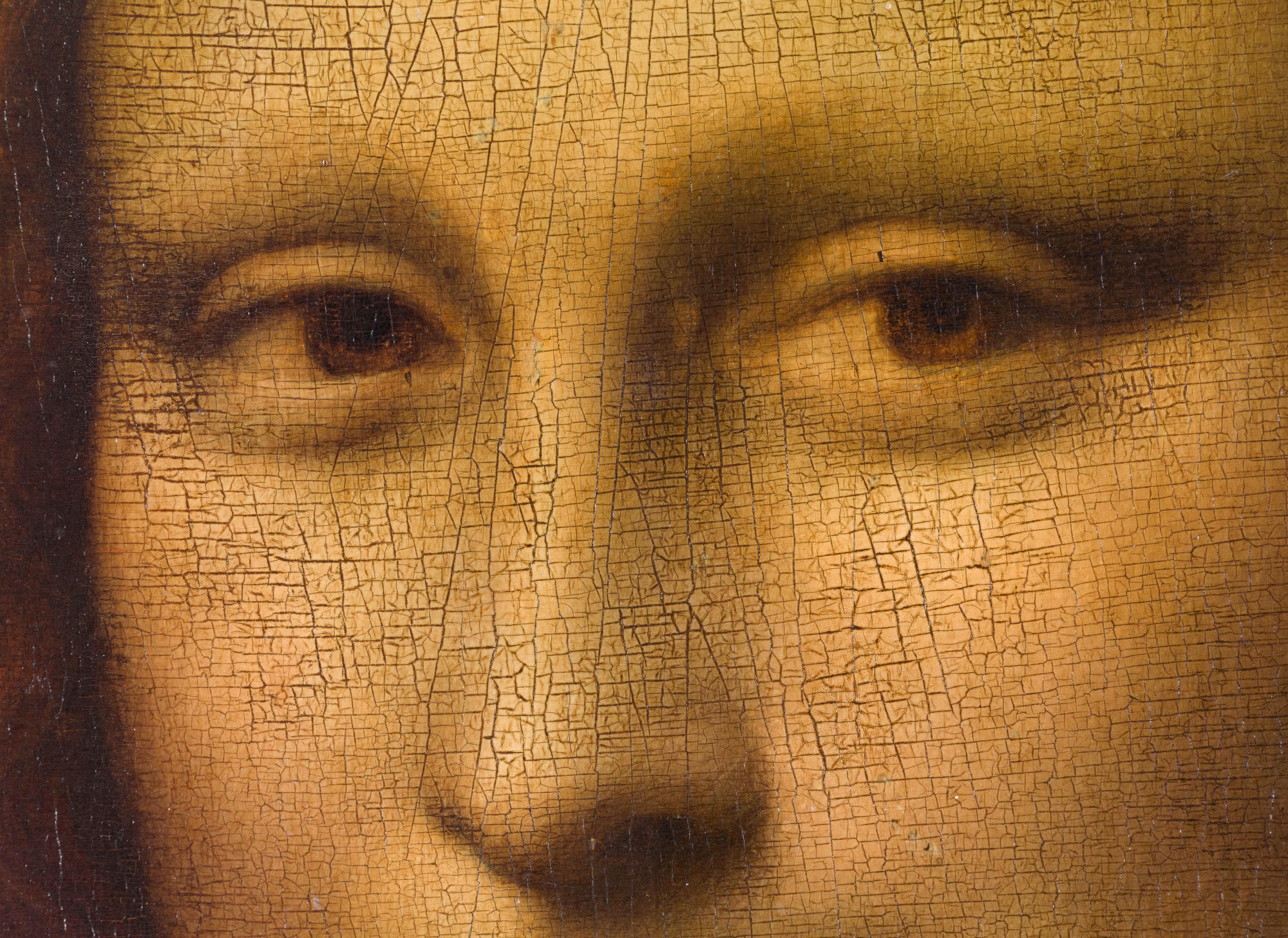 Mona Lisa (La Gioconda), detail of face. Oil on wood, 77 x 53 cm. INV779. Photo: Michel Urtado.
