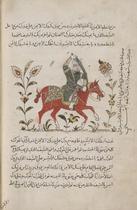 Horseman