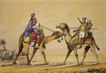 Two camels with Sindhi riders