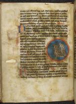Little Owl and Eagle Owl