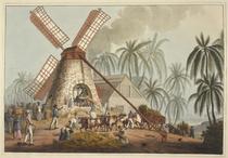 The Mill Yard