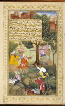 Almond harvest and dervish