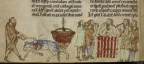 Irish kingship ritual